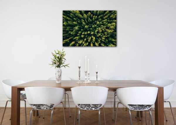 Impresi Obraz Les - 60 x 40 cm