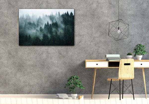 Impresi Obraz Les v hmle - 60 x 40 cm