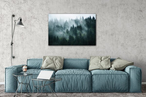 Impresi Obraz Les v hmle - 60 x 40 cm