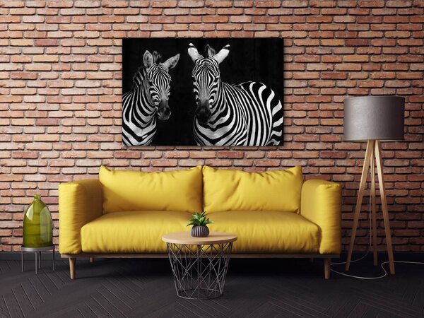 Impresi Obraz Dve zebry čiernobiele - 60 x 40 cm