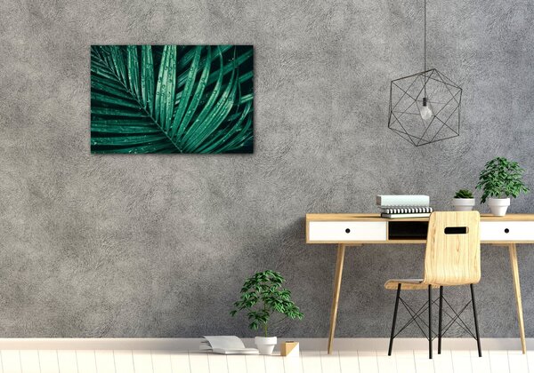 Impresi Obraz Detail listu s kvapkami vody - 60 x 40 cm