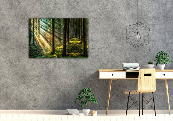 Impresi Obraz Slnečné lúče v lese - 60 x 40 cm