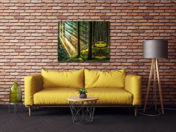 Impresi Obraz Slnečné lúče v lese - 90 x 70 cm
