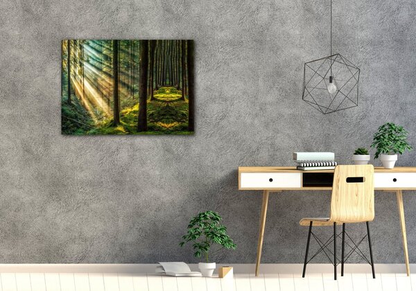 Impresi Obraz Slnečné lúče v lese - 70 x 50 cm