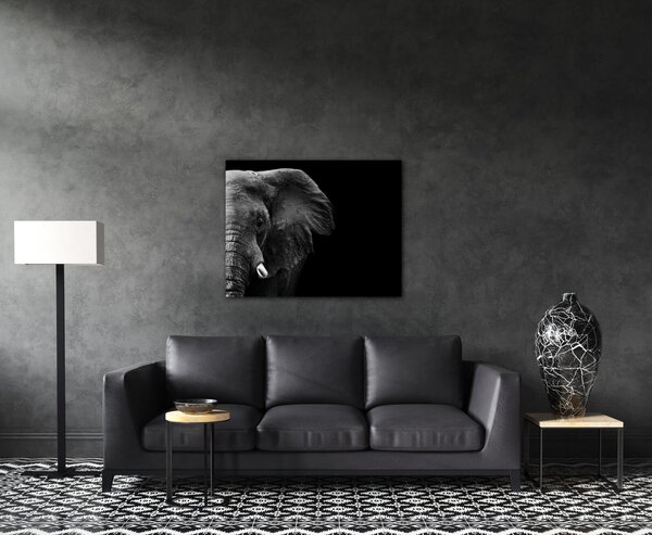 Impresi Obraz Slon na čiernom pozadí - 90 x 70 cm