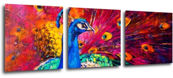 Impresi Obraz Farebný páv - 90 x 30 cm (3 dielny)