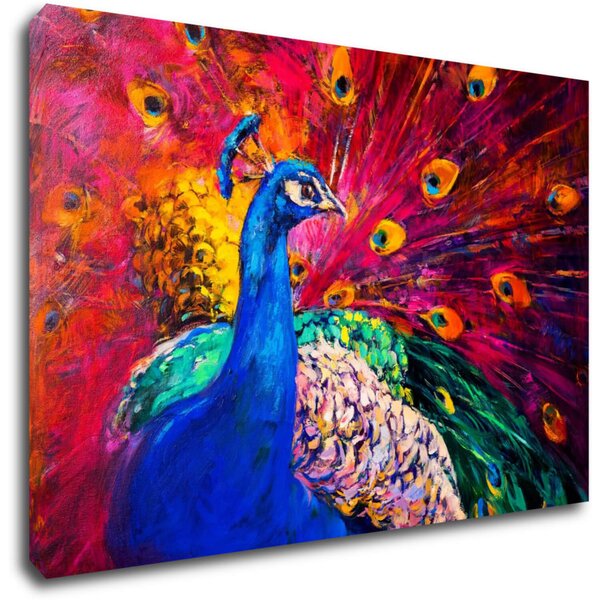Impresi Obraz Farebný páv - 60 x 40 cm