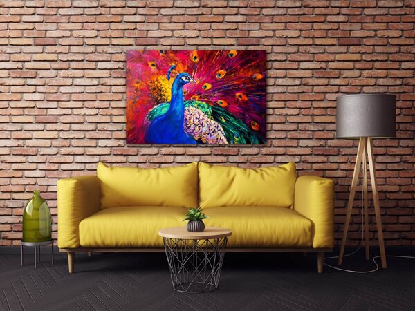 Impresi Obraz Farebný páv - 60 x 40 cm