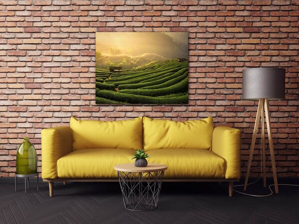 Impresi Obraz Východ slnka čajovníková plantáž - 90 x 70 cm