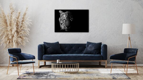 Impresi Obraz Tiger čiernobiely - 60 x 40 cm