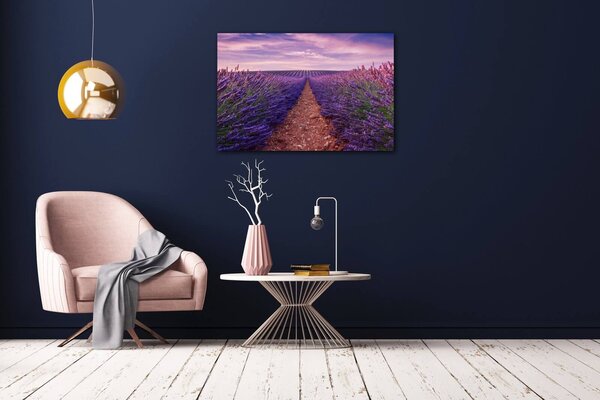 Impresi Obraz Levanduľové polia - 60 x 40 cm