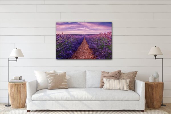 Impresi Obraz Levanduľové polia - 60 x 40 cm