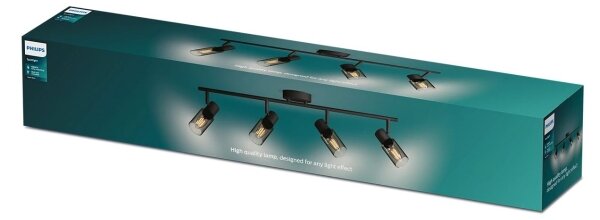 Philips - Bodové svietidlo PALMS 4xE14/25W/230V