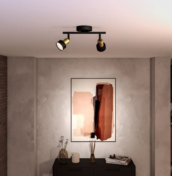 Philips - Bodové svietidlo CONDUIT 2xGU10/5W/230V čierna/mosadz