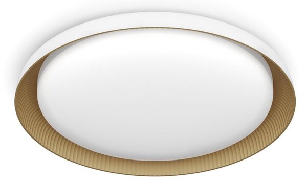 Philips - LED Stmievateľné stropné svietidlo PEBBLO LED/10W/230V 4000K biela