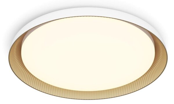 Philips - LED Stmievateľné stropné svietidlo PEBBLO LED/10W/230V 2700K biela