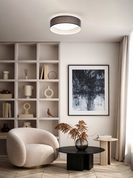 Eglo 31592 - LED stropné svietidlo PASTERI 1xLED/12W/230V