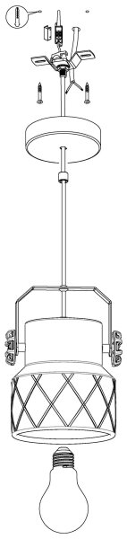 Eglo 39854 - Závesné svietidlo HILCOTT na lanku 1xE27/40W/230V