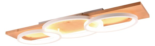 STROPNÉ LED SVIETIDLO, 97/33/10 cm Trio Leuchten - Interiérové svietidlá