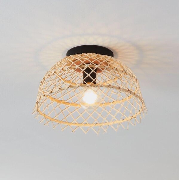 Eglo 43831 - Stropné svietidlo AUSNBY 1xE27/40W/230V