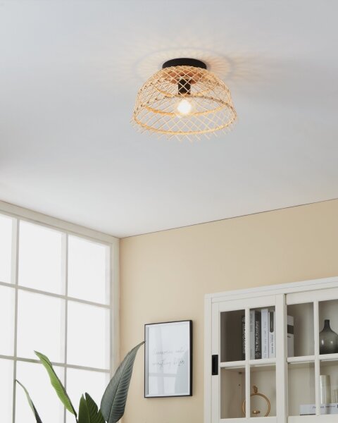 Eglo 43831 - Stropné svietidlo AUSNBY 1xE27/40W/230V