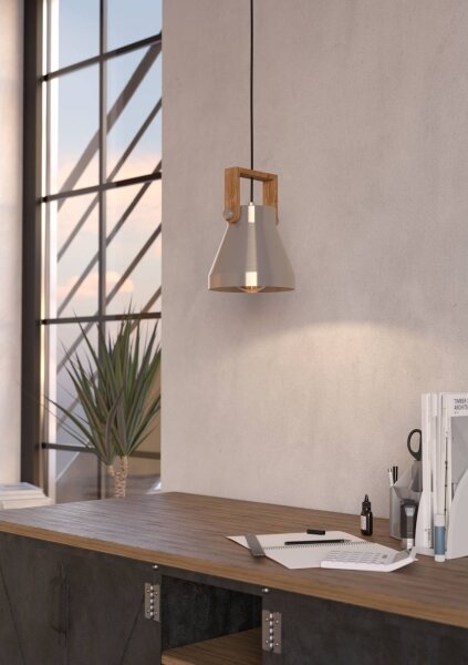 Eglo 43951 - Luster na lanku CAWTON 1xE27/40W/230V