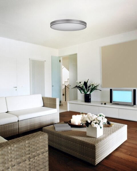 Eglo 75705 - LED Stmievateľné stropné svietidlo LED/22W/230V 3000-6500K + DO