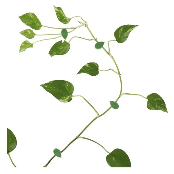 Podpora rastlín 10 ks z recyklovaného plastu (výška 3 cm) – Esschert Design