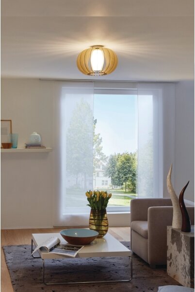 Eglo 95597 - Stropné svietidlo STELLATO 1 1xE27/60W/230V