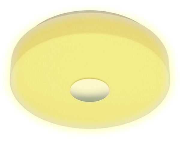 Eglo 96819 - LED RGB Stmievateľné stropné svietidlo BERAMO-C LED/17W/230V