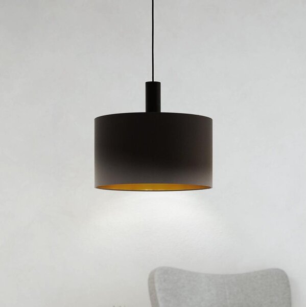 Eglo 97682 - Luster na lanku CONCESSA 1 1xE27/60W/230V 380 mm