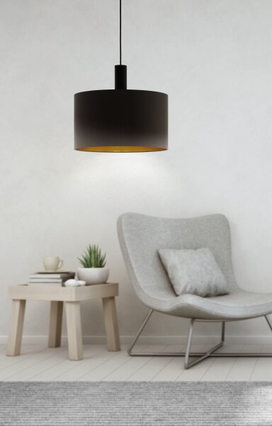Eglo 97682 - Luster na lanku CONCESSA 1 1xE27/60W/230V 380 mm