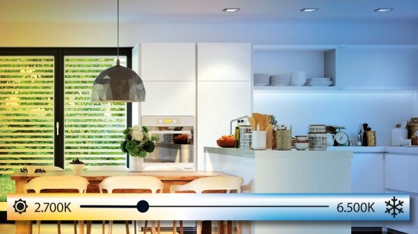 Eglo 98293 - LED stmievateľné stropné svietidlo FUEVA-A LED/20W/230V + diaľkový ovládač