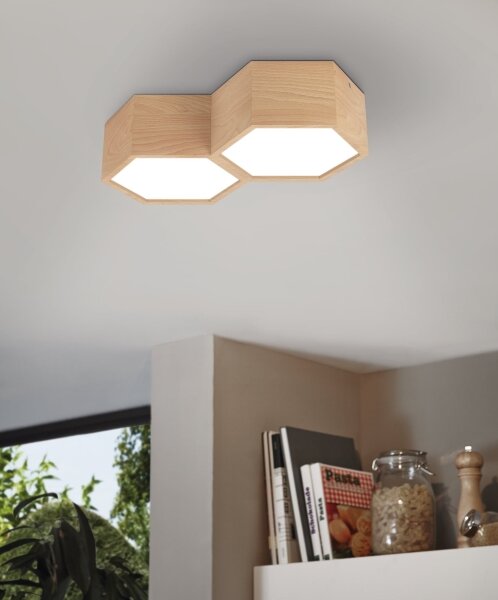 Eglo 98861 - Stropné svietidlo MIRLAS 2xE27/9W/230V