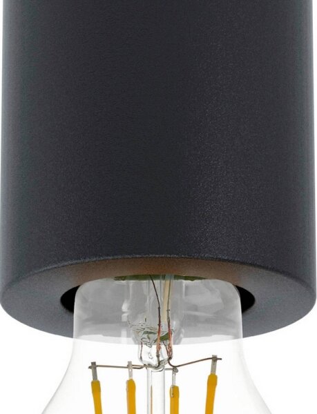 Eglo 99065 - Stropné svietidlo SALUZZO 1xE27/40W/230V