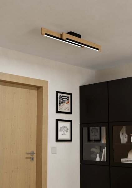 Eglo 99292 - LED Stmievateľné stropné svietidlo CAMACHO 2xLED/10W/230V