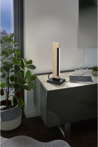 Eglo 99295 - LED stmievateľná stolná lampa CAMACHO LED/6,5W/230V