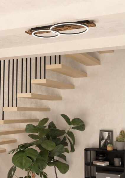 Eglo 99408 - LED Stropné svietidlo BOYAL 2xLED/12W/230V