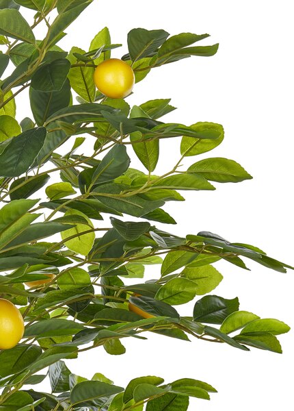 Umelá rastlina v kvetináči citrónovník citrus zelená a čierna syntetický materiál 156 cm dekorácie doplnky interiér