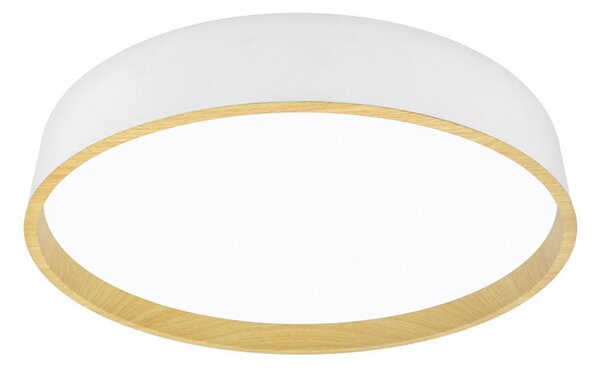 STROPNÉ LED SVIETIDLO, 40/8 cm - Interiérové svietidlá