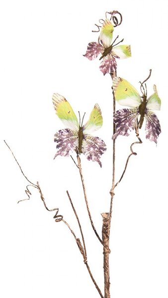 Dekoratívna vetva s motýlikmi Butterfly green - 14*5*85 cm - Clayre & Eef