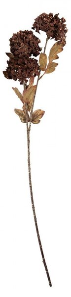 Dekorácia hnedá umelá kvetina hortenzie - 10*8*76 cm - Clayre & Eef