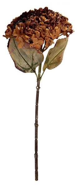 Vínová umelá dekorácia sušená kvetina hortenzie - 15*15*47 cm - Clayre & Eef