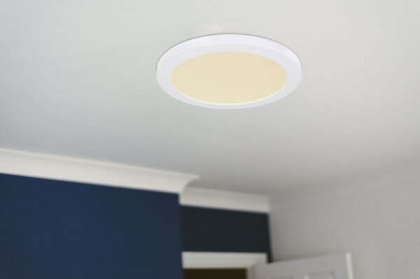 Globo 12379-24W - LED Stropné svietidlo LASSE LED/24W/230V