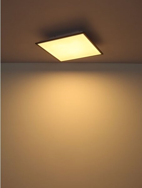 Globo 416080D2 - LED Stropné svietidlo DORO LED/24W/230V
