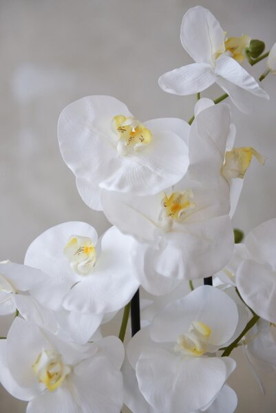 Umelá orchidea ORCHIDELIS, plast, výška 87 cm, biela