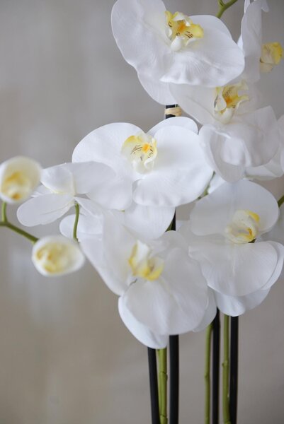 Umelá orchidea ORCHIDELIS, plast, výška 87 cm, biela