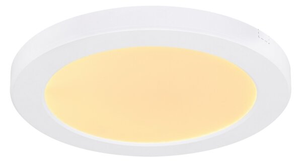 Globo 12379-18W - LED Stropné svietidlo LASSE LED/18W/230V