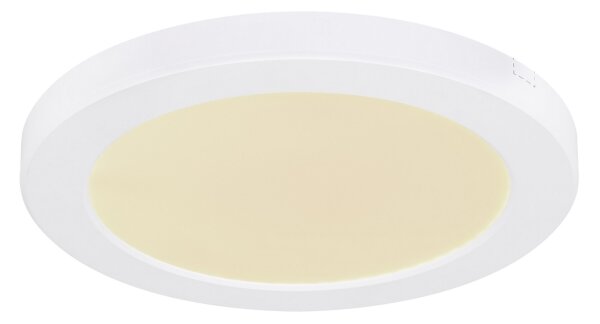 Globo 12379-18W - LED Stropné svietidlo LASSE LED/18W/230V