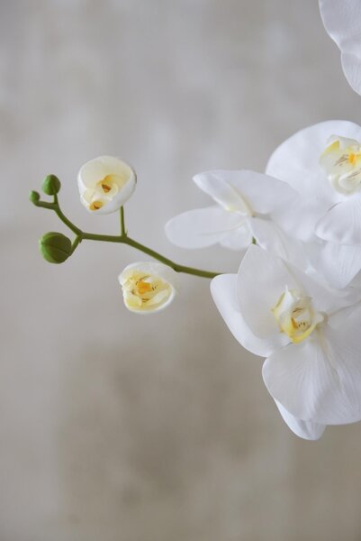 Umelá orchidea ORCHIDELIS, plast, výška 87 cm, biela
